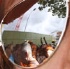 nhc_chocolate_city_2010-101