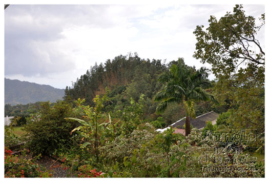 3-blue_mountain-006