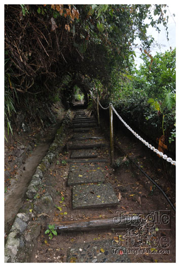 3-blue_mountain-013