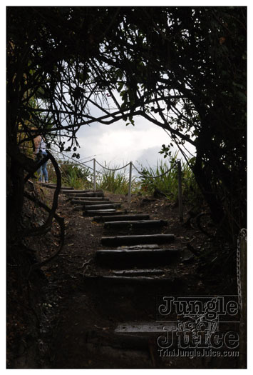 3-blue_mountain-014
