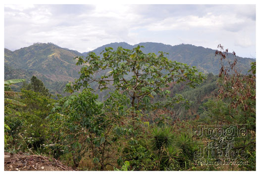 3-blue_mountain-016