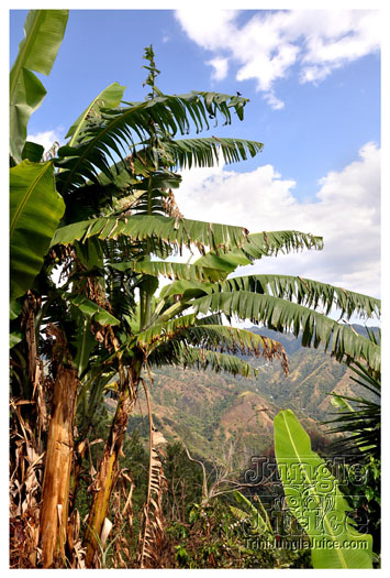 3-blue_mountain-023