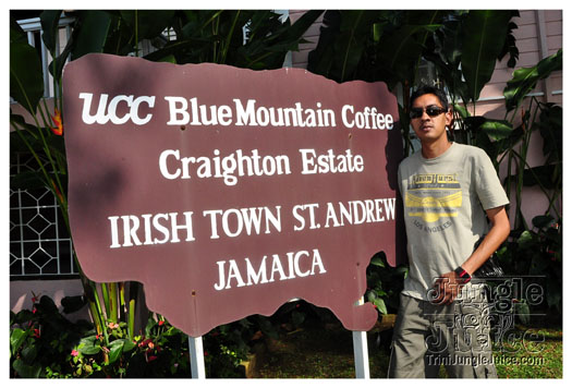 3-blue_mountain-028
