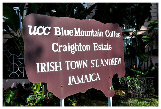 3-blue_mountain-029