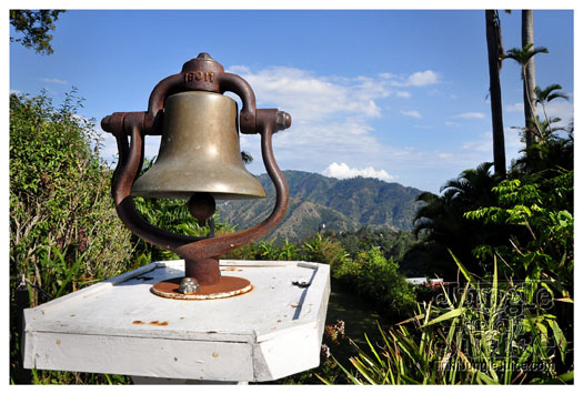 3-blue_mountain-032