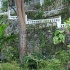 0-ocho_rios-021