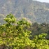 3-blue_mountain-024