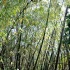 3-blue_mountain-025