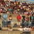 pan_alive_2010-025