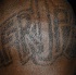 pan_alive_2010-088