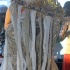 pan_jazz_ny_2010-136
