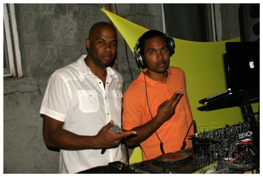 radica_2010-001