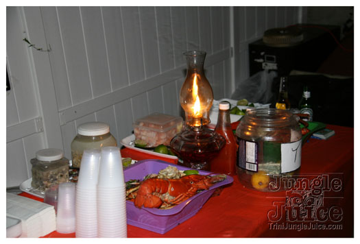 radica_2010-027
