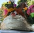 san_francisco_carnival_2010-017