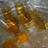 shades_sep24-022