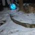 snow_flake_dec26-005