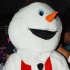 snow_flake_dec26-067