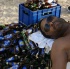 spice_mas_2010_extras-003
