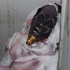 spooked_2010_oct29-021