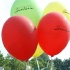 summer_jam_2010_sun-010