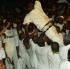 whiteout_jul17-139