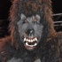 yorke_all_incl_jan24-095
