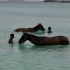 booze_cruise_jr_2011-014