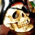 booze_cruise_jr_2011-079