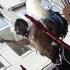 copenhagen_carnival_2011-042