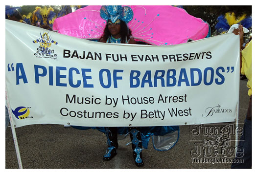 miami_carnival_2011_part3-101