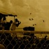 rise_n_shine_miami_2011_pt2-148