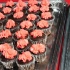 super_friends_3D_oct7-064