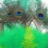 berlin_carnival_emerald_city_jun12-104