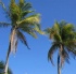 boat_lime_rum_point_cayman_extras_2011-007
