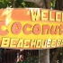 cayman_carnival_2011_part1-001