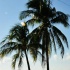 cayman_carnival_2011_part3-078
