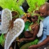 rotterdam_carnival_triniconnections_2011-089