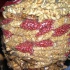 ati_jul30-016