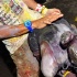 bacchanal_jouvert_2011_pt1-093