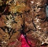 frenchmen_bazodee_2011-010