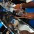 pan_fete_2011_apr27-015