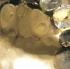 pan_fete_2011_apr27-033