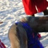 soca_at_de_sandbar_2011_apr27-149