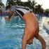 this_is_moet_2011_pt1-035