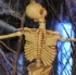 maracas_halloween_ny_2011_pt2-184