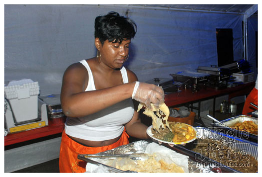 radica_2011-002