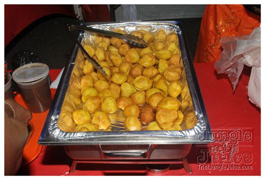 radica_2011-003