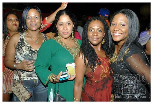 radica_2011-063