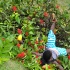 st_lucia_carnival_monday_2011_pt1-145