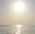 svg_limerz_cruise_jul2-217